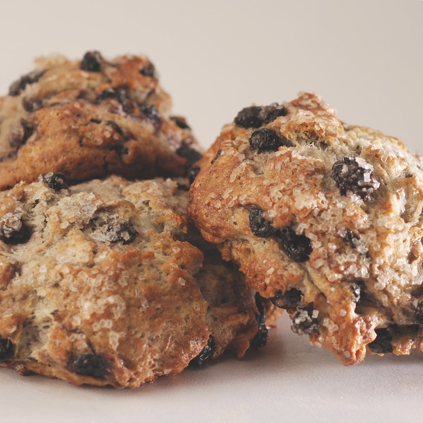 Fresh Baked Gourmet Scone Collection — 13 Scones