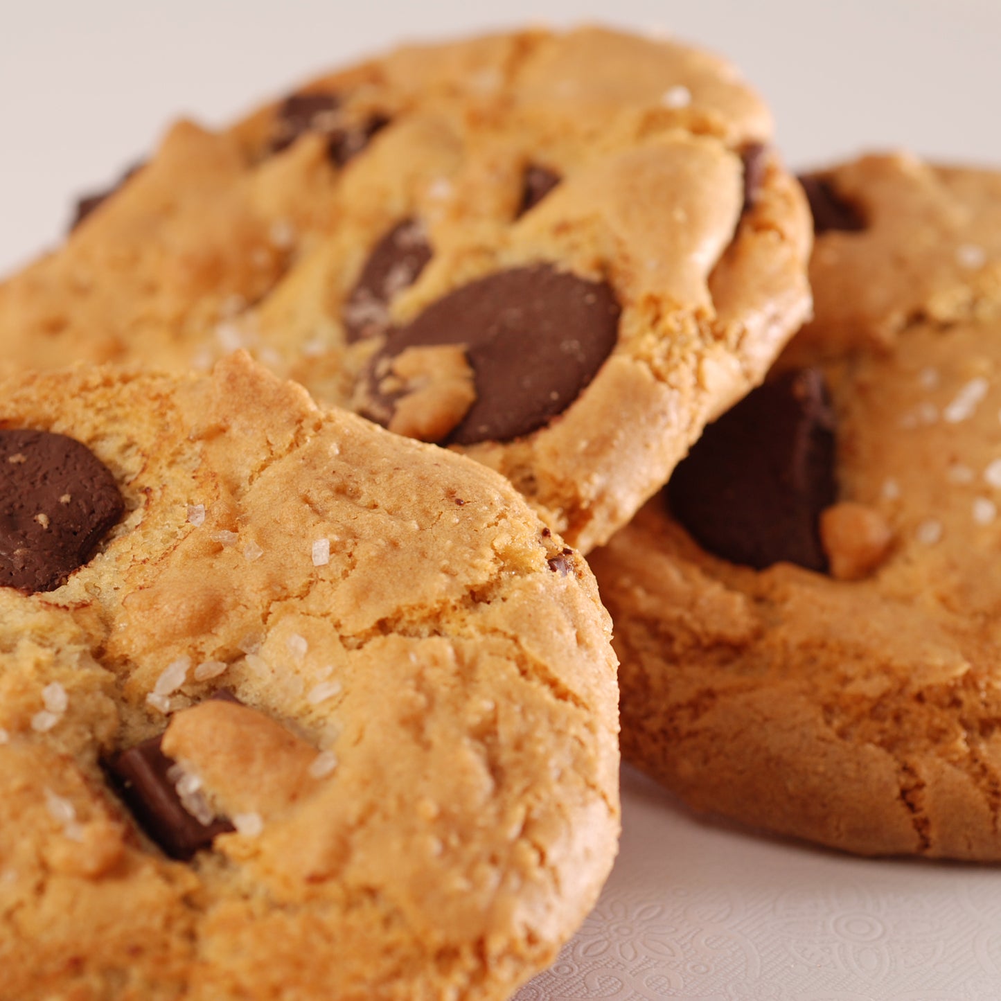 Vegan Dairy-Free Egg-Free Cookies – 13 Assorted Cookies, 4 Flavors