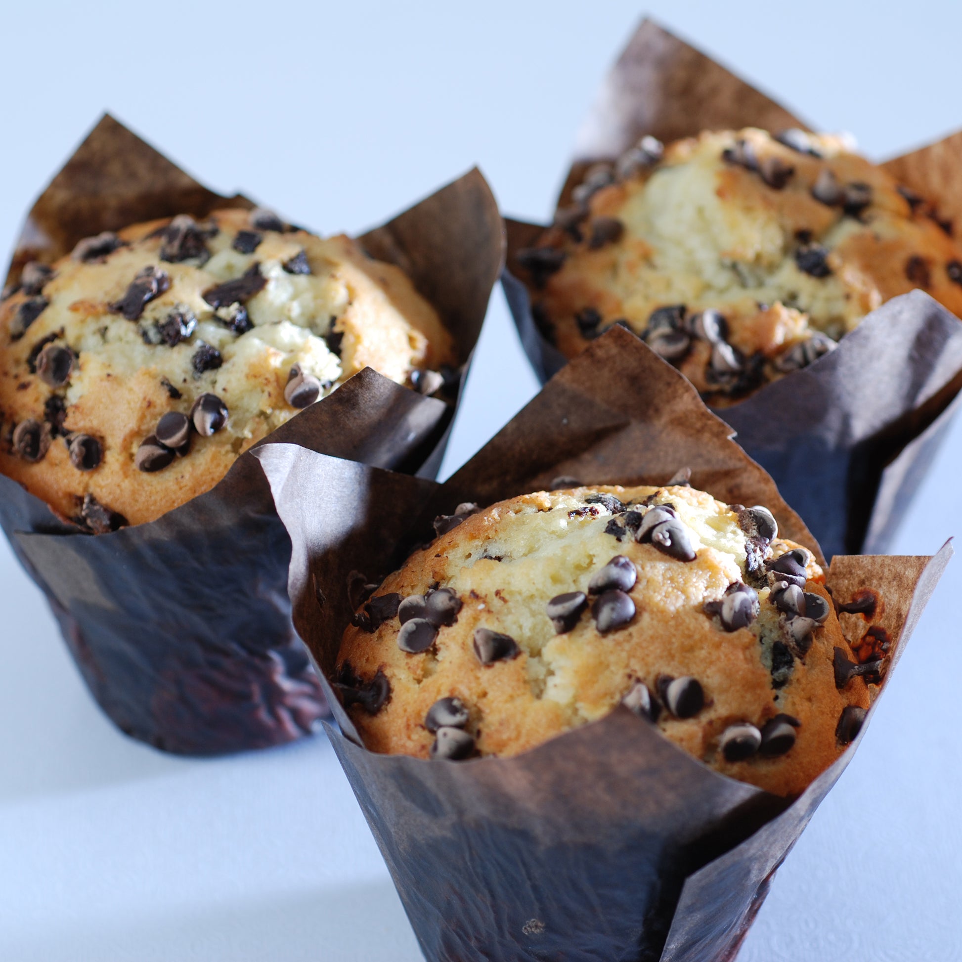 chocolate chip sour cream muffins